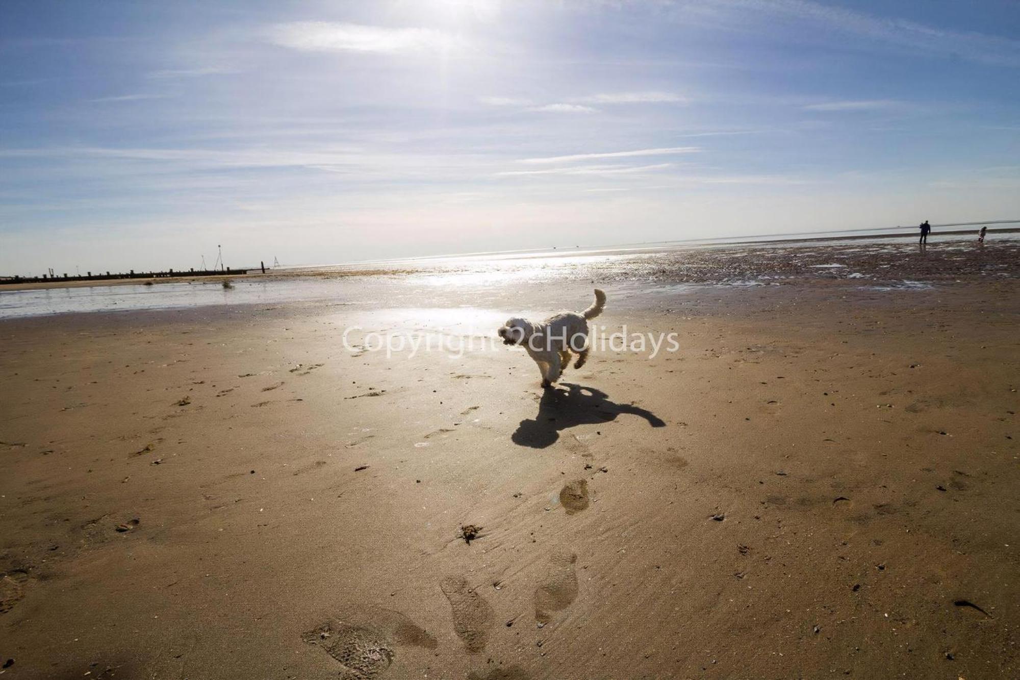 6 Berth Dog Friendly Caravan In Hunstanton, Minutes From The Ref 13013l *